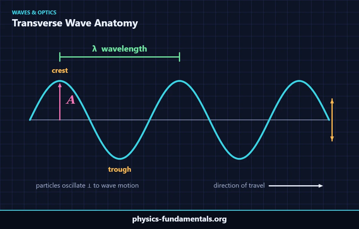 Labeled transverse wave diagram showing crest, trough, wavelength λ and amplitude A
